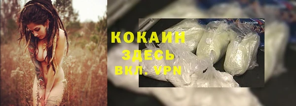 бошки Краснослободск