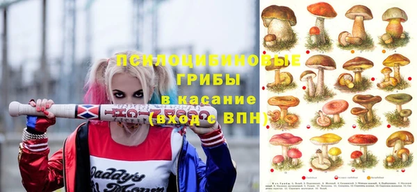 амф Краснотурьинск