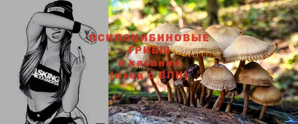 бошки Краснослободск