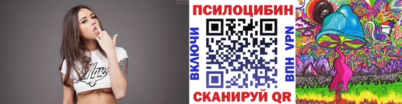 Купить где  Южноуральск  Псилоцибиновые грибы GOLDEN TEACHER 